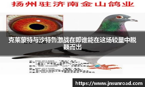 克莱蒙特与沙特鲁激战在即谁能在这场较量中脱颖而出